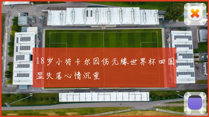 18岁小将卡尔因伤无缘世界杯回国显失落心情沉重